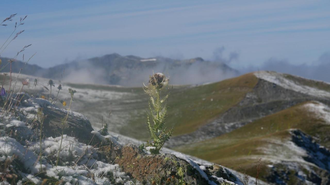 Le Prince Des Cimes Lejlighed Les Arcs  Eksteriør billede